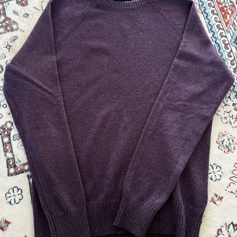 Men's Purple JCrew Sweater